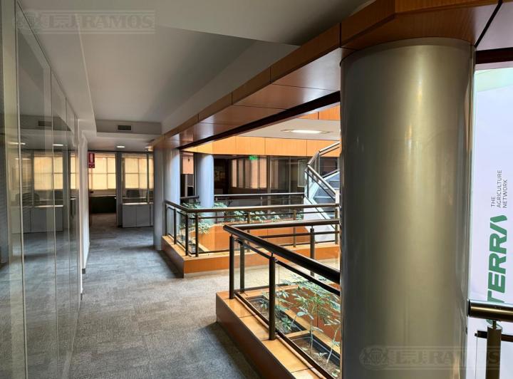 Foto de Edificio en alquiler o venta de 1300 m2 en Lomas de San Isidro, imagen 3