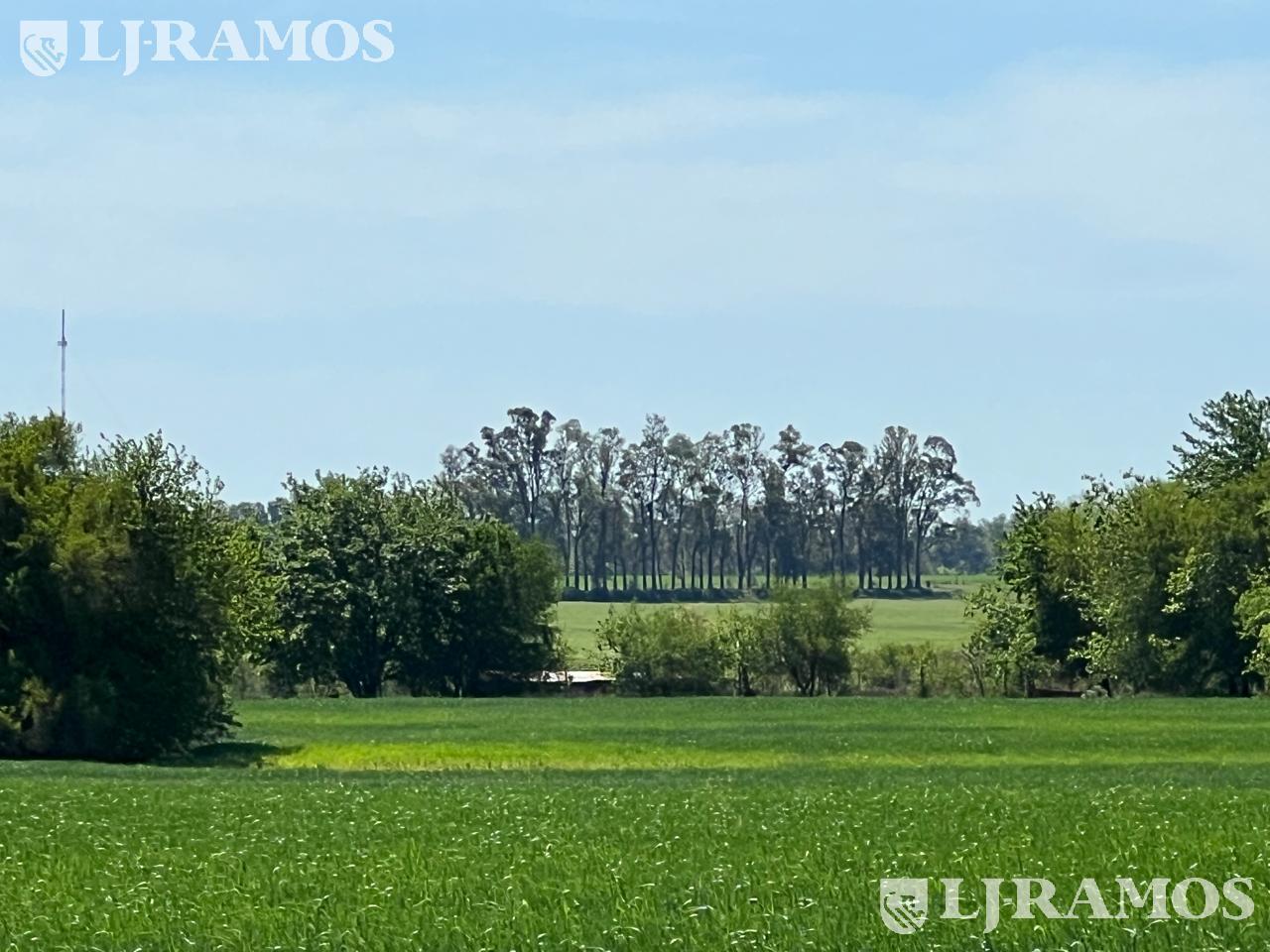 Terrerno en Venta en Ayres de Cardales Barrio Cerrado