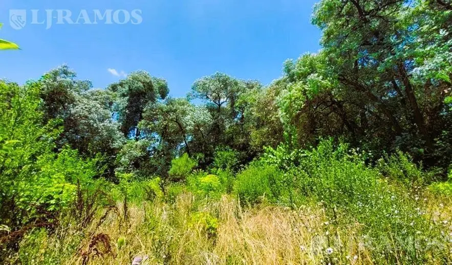 ZONA LA BOTA. LOTE 2.500 m². APTO DESARROLLO INMOBILIARIO. 1