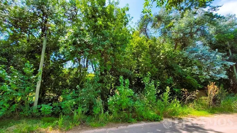 ZONA LA BOTA. LOTE 2.500 m². APTO DESARROLLO INMOBILIARIO. 4
