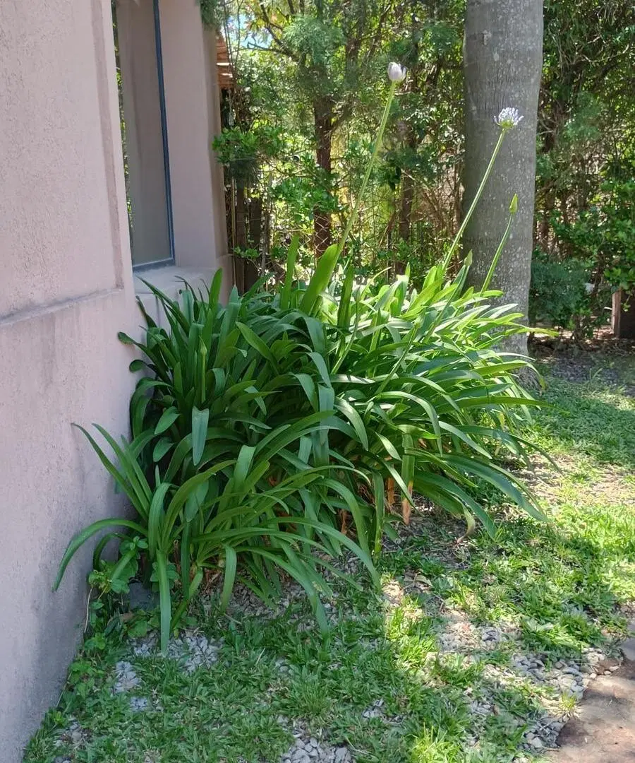 Lindisima casa en venta en Barrio Saint Matthews 4