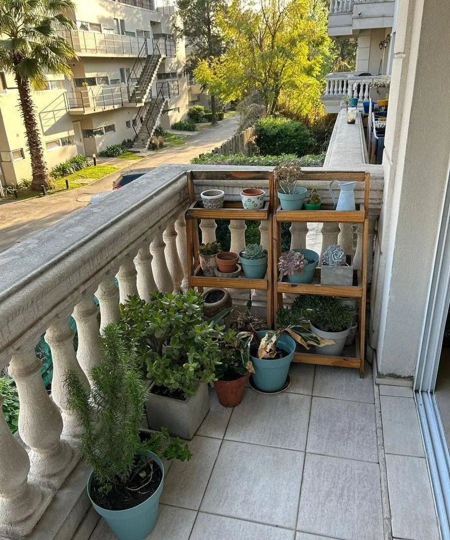 Departamento en palmas del sol 3