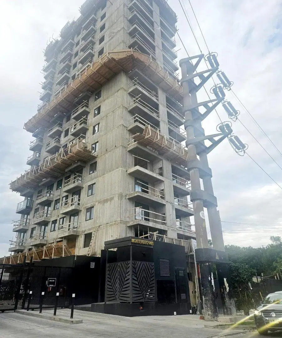 Brickell Tigre 4