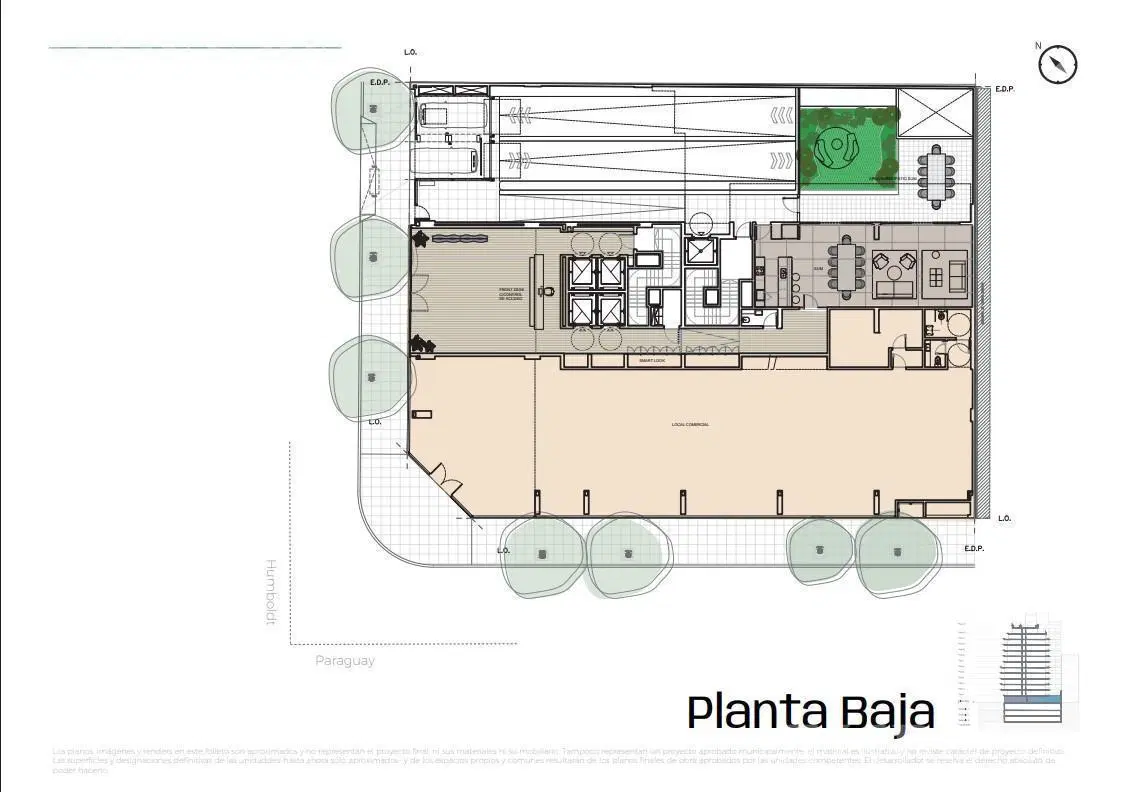 Plano 6