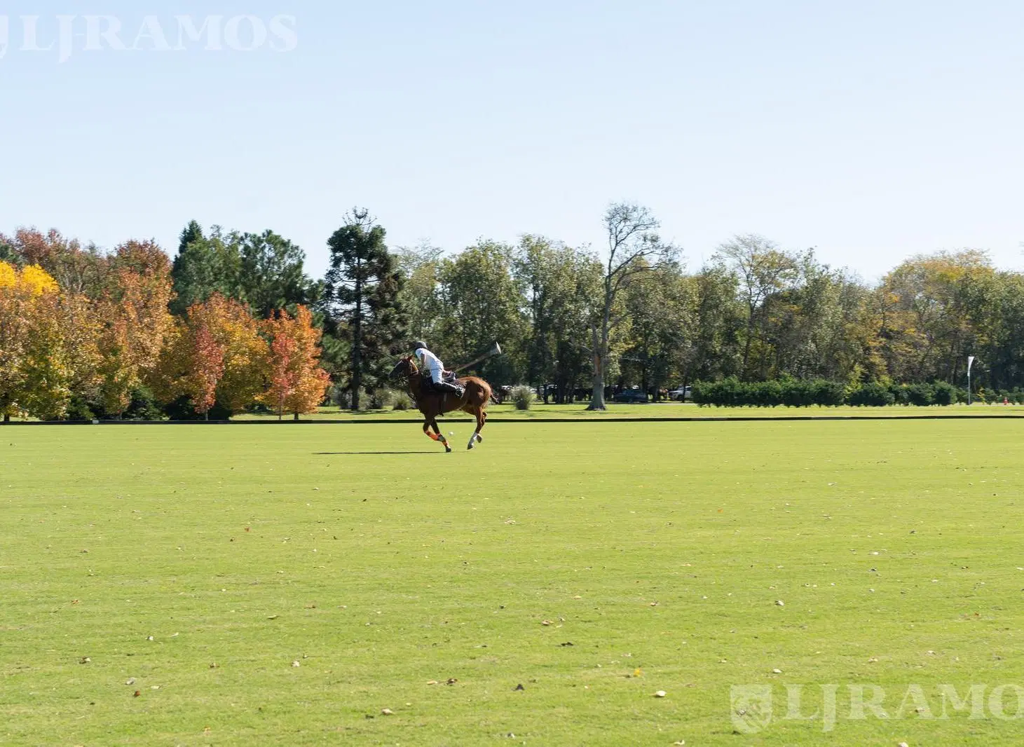 Terreno en La Dolfina Polo Ranch - PG 4