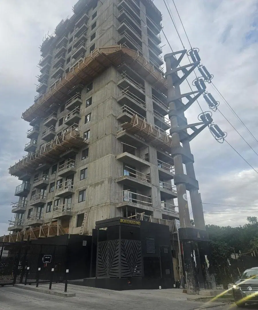 Brickell Tigre 2