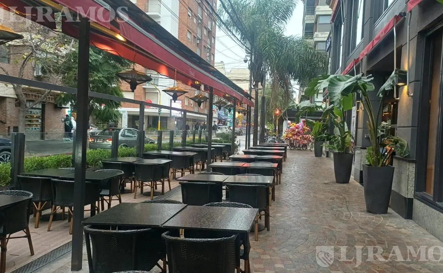 Local en alquiler 8