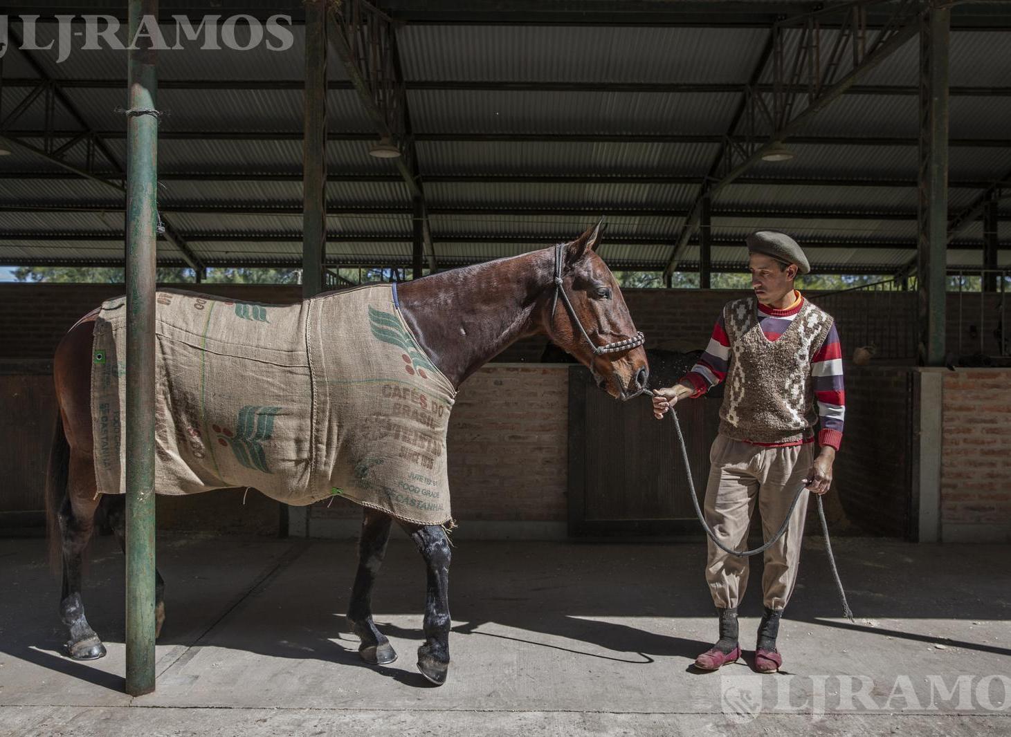 Foto de Terreno en La Dolfina Polo Ranch - PG, imagen 5