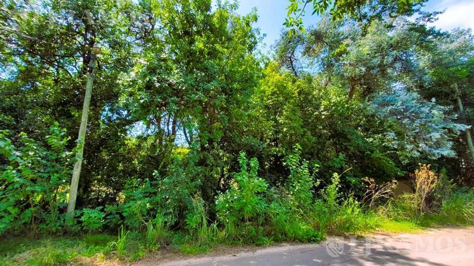 Foto de ZONA LA BOTA. LOTE 2.500 m². APTO DESARROLLO INMOBILIARIO., imagen 2