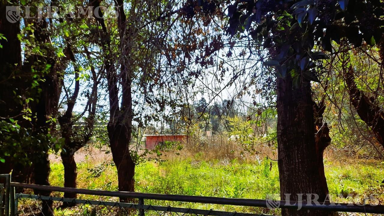 Foto de ZONA LA BOTA. LOTE 2.500 m². APTO DESARROLLO INMOBILIARIO., imagen 5