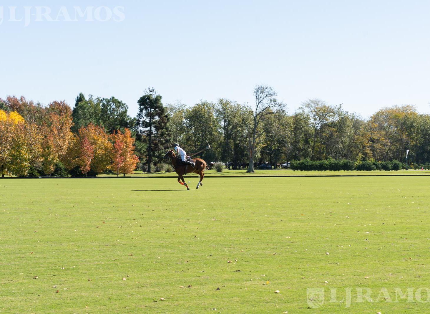 Foto de Terreno en La Dolfina Polo Ranch - PG, imagen 2