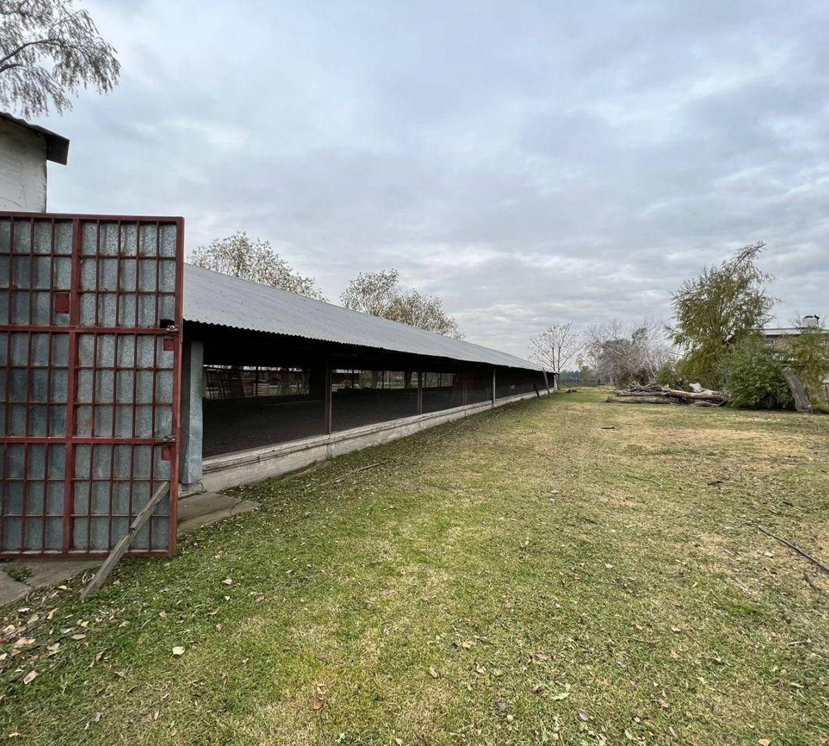 Venta Granja en Varela 2