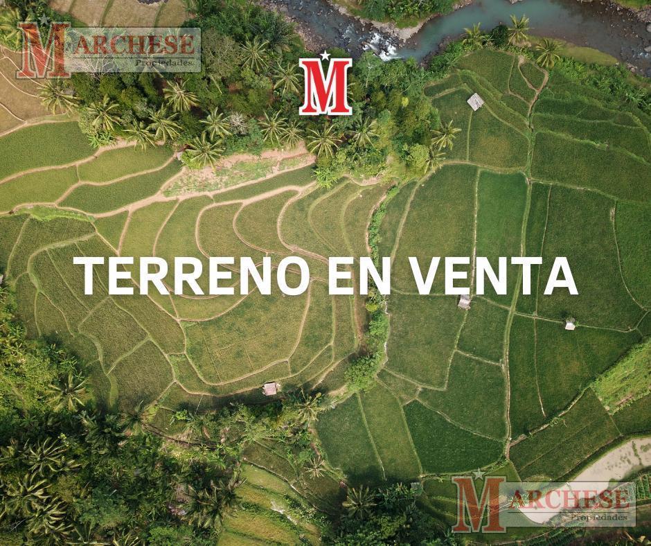 LOTE IDEAL EMPRENDIMIENTO