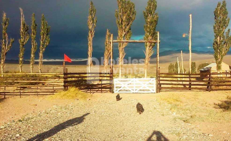 Reconocido Hotel Posada en Venta en Malargue, Mendoza 5