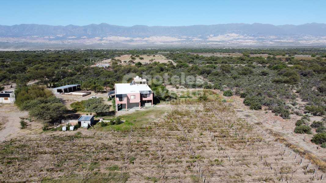 Posada y Viñedo en Venta en Tafi del Valle, Tucumán 3