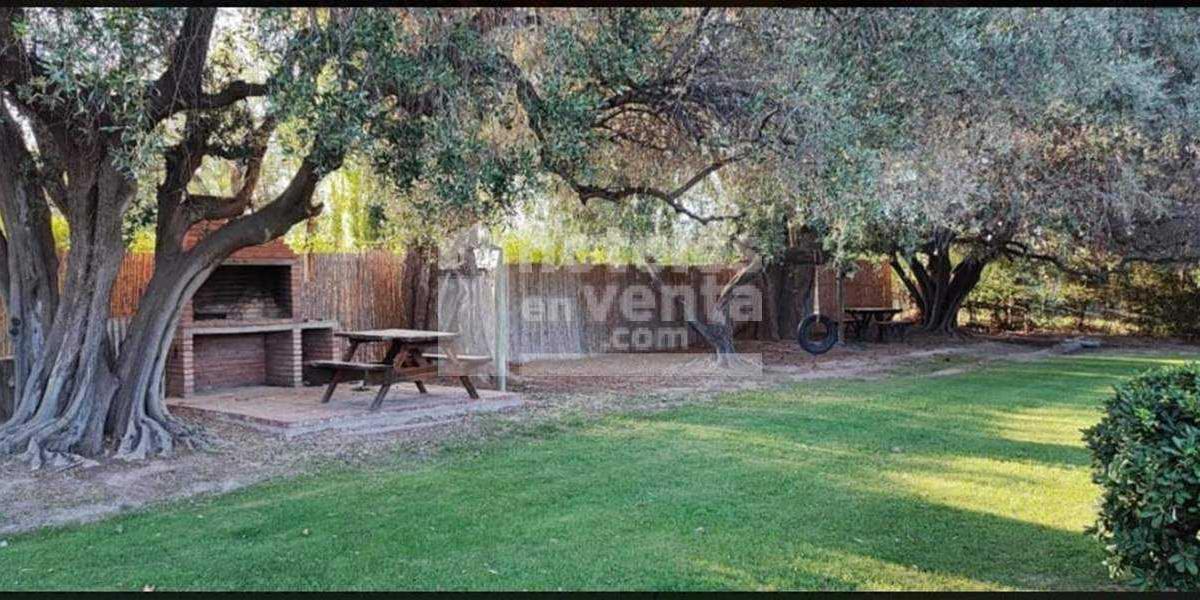 Complejo de Cabañas en Venta en Rama Caida, San Rafael, Mendoza 4