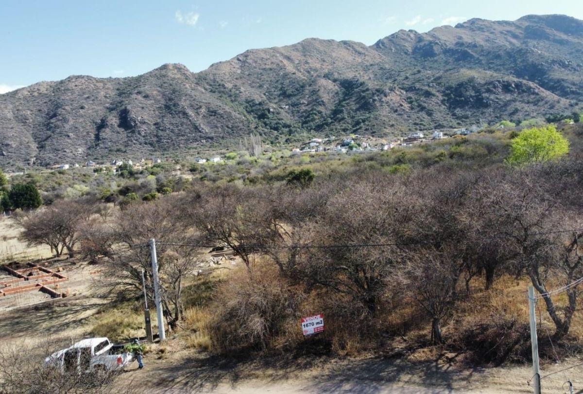 Lote . | Los Eucaliptus