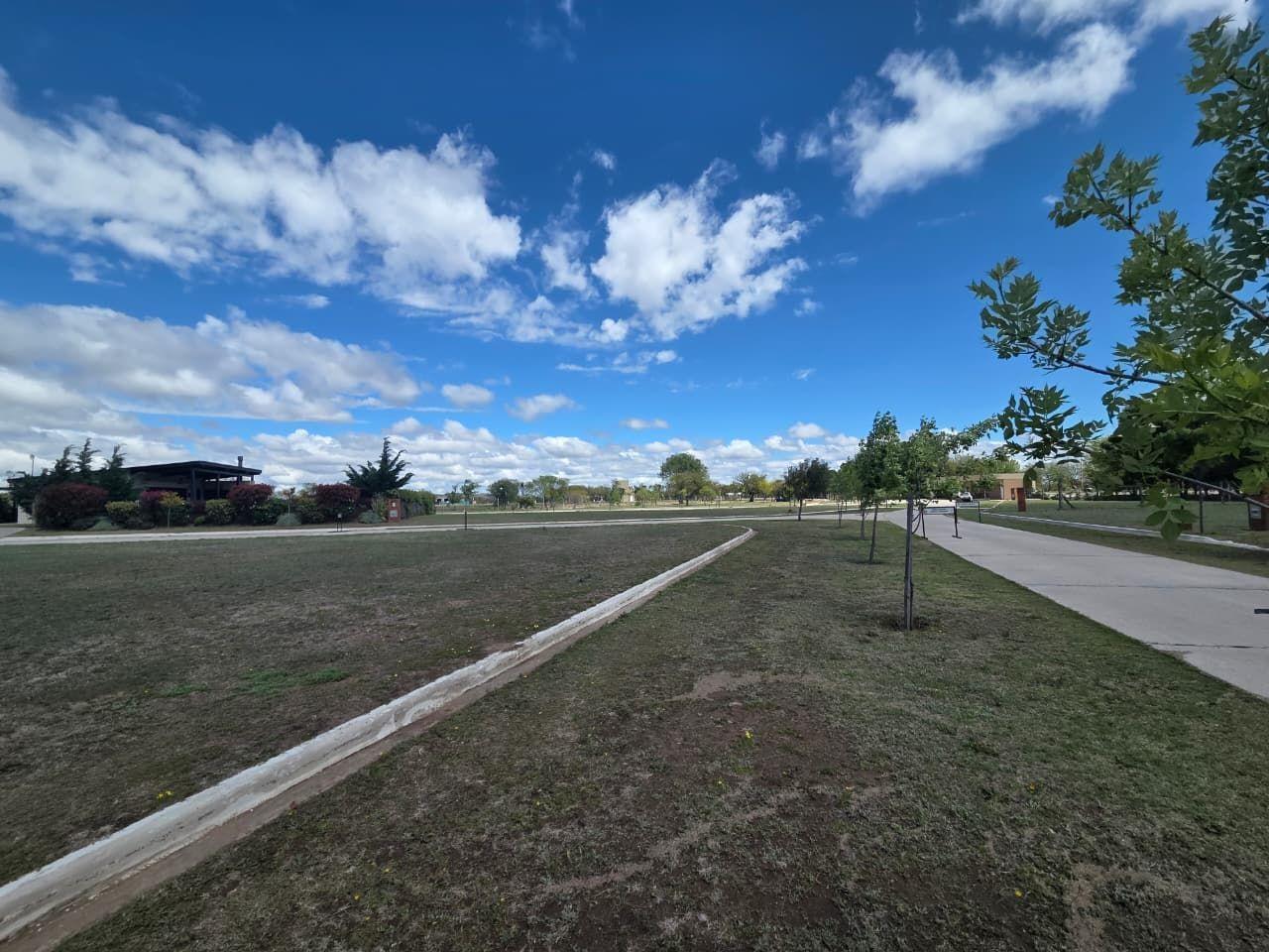 Foto de Lote en venta, Juana Koslay. La Agripina I, Avenida Los Puquios, imagen 3