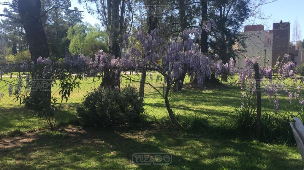 Foto de Terreno Lote en Venta en El Casco de Alvarez, Francisco Álvarez, Moreno, imagen 5