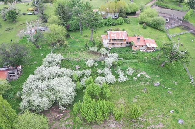 Campo Cerro Moreno - Lago Argentino - Santa Cruz 2