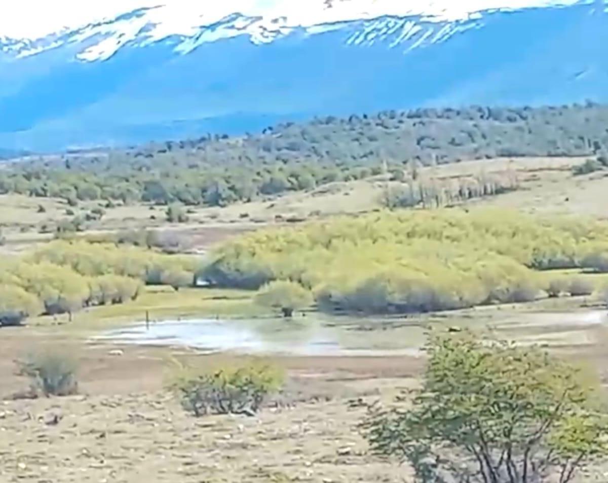 Campo Cerro Moreno - Lago Argentino - Santa Cruz 3