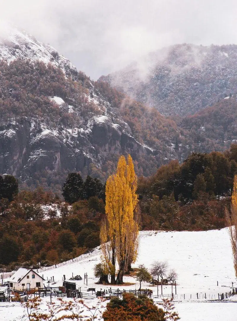 baccello I venta campo premium en San Martin de Los Andes 5