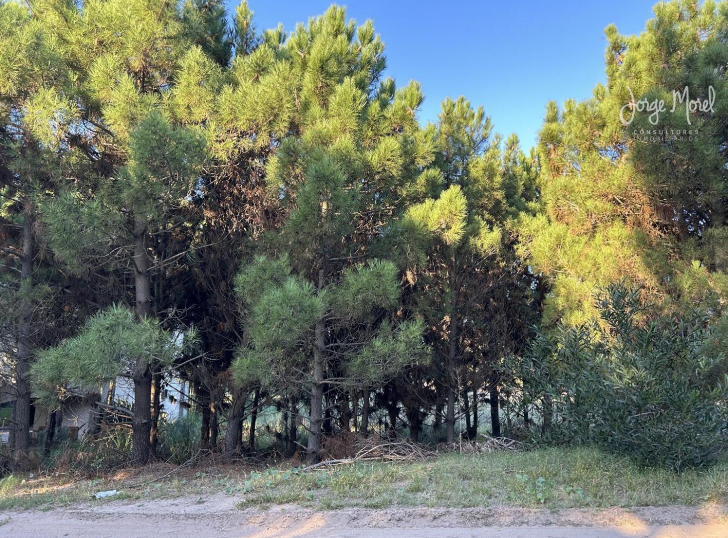 Lote Venta Costa Esmeralda - Residencial 1 a metros del mar 1107m2 #id 11527