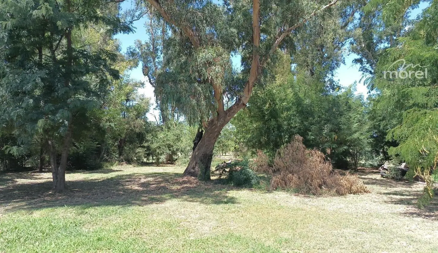 Lote Venta Barrio San Sebastián - Area 2 - Al Golf - 1110m2 #id 578 4