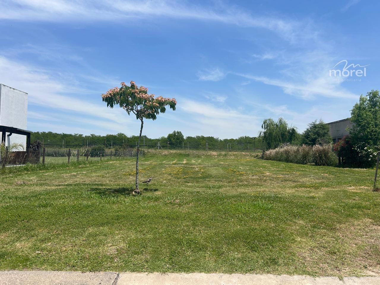 Lote en venta San Sebastian Escriturable 935 mts - id 2156