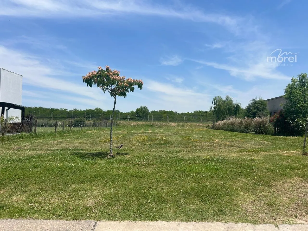 Lote en venta San Sebastian Escriturable 935 mts - id 2156 1