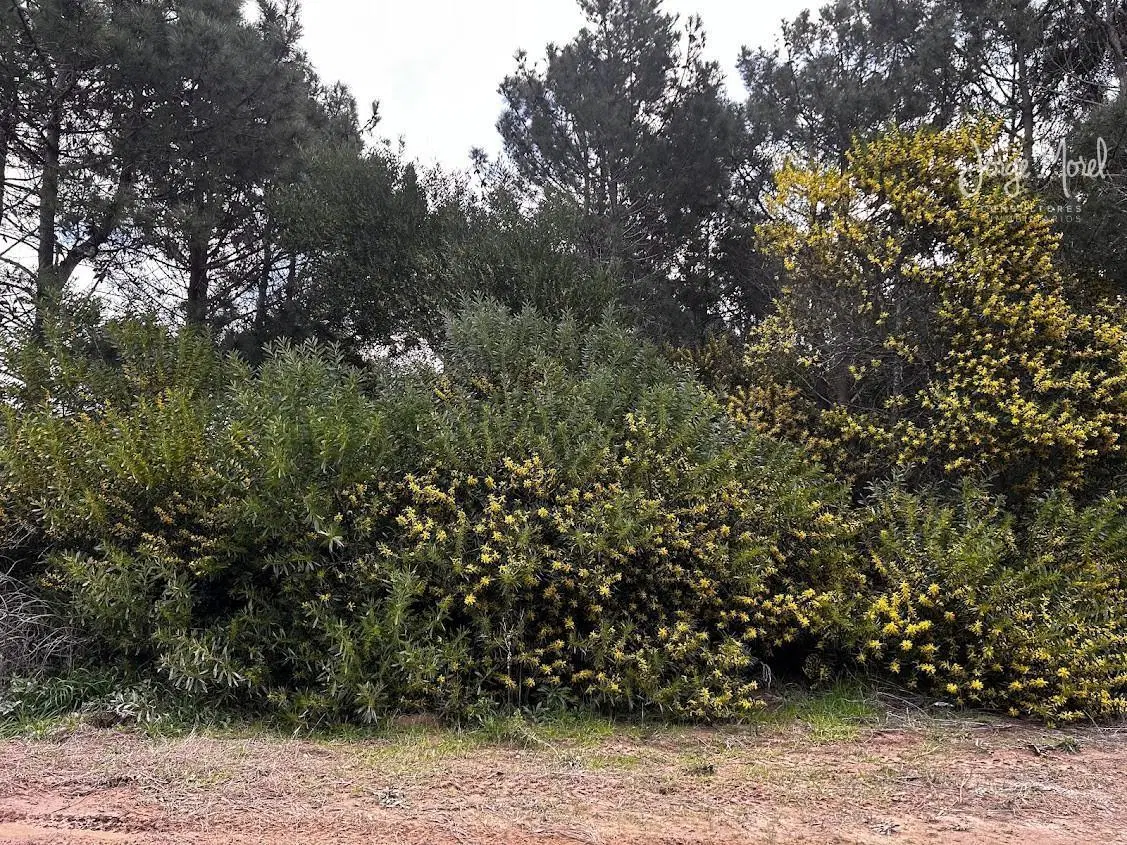 oportunidad al golf vendo Lote terreno golf Venta Barrio Costa Esmeralda - Golf 2 - Al Golf - 1010m2 2