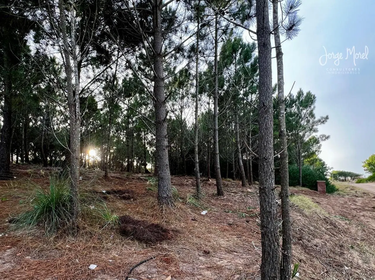 Lote terreno Venta Barrio Costa Esmeralda - Maritimo 3 - Interno al Verde - 940m2 #id 20892 4