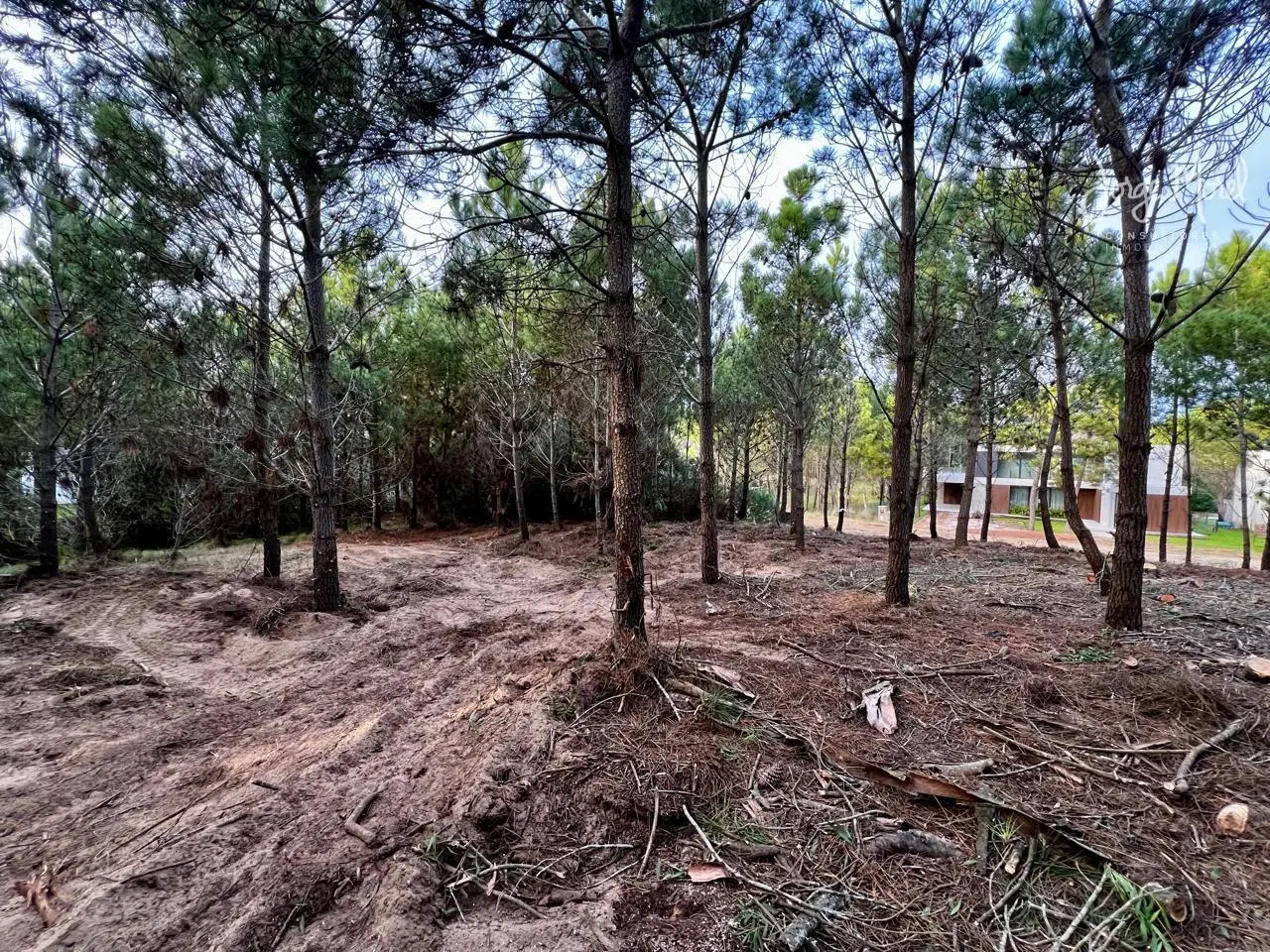 Lote terreno Venta Barrio Costa Esmeralda - Maritimo 3 - Interno al Verde - 940m2 #id 20892 2