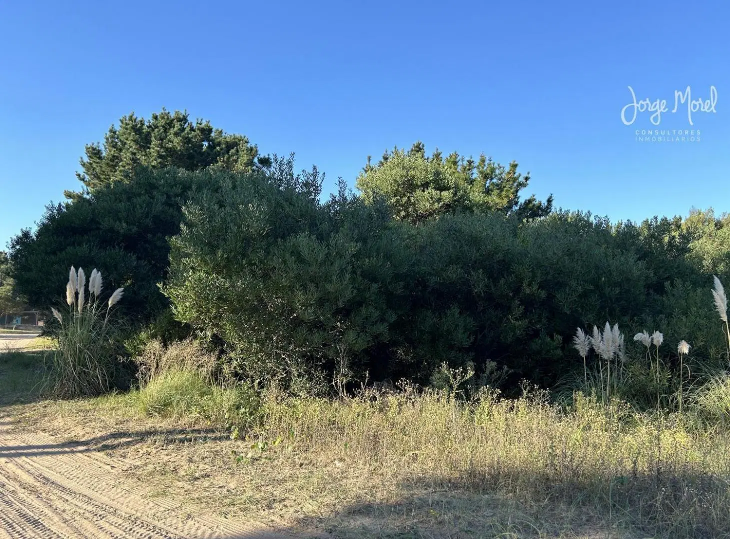 Lote Venta Barrio Costa Esmeralda - Senderos 2 - Interno - 1030m2 #id 10438 3