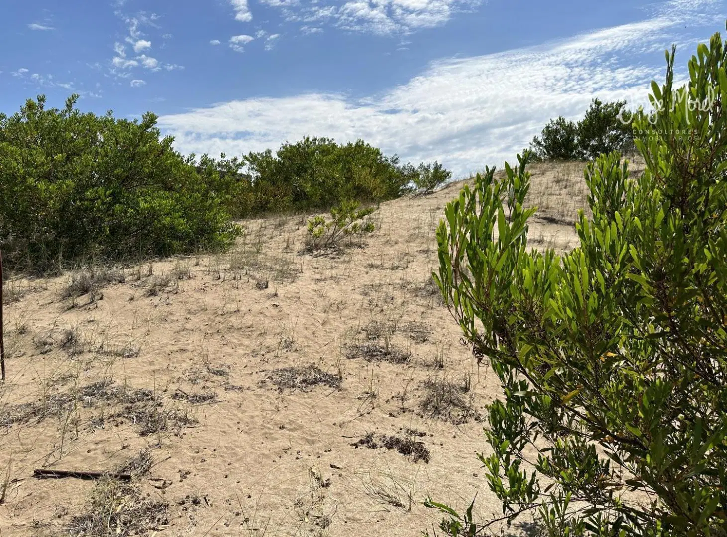 Lote en venta Costa Esmeralda - Interno al Verde - 922 mts 3