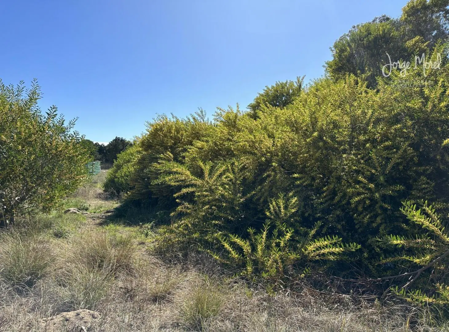 Lote Venta Costa Esmeralda - Golf 2 - Al Golf - 1007m2 #id 11217 4