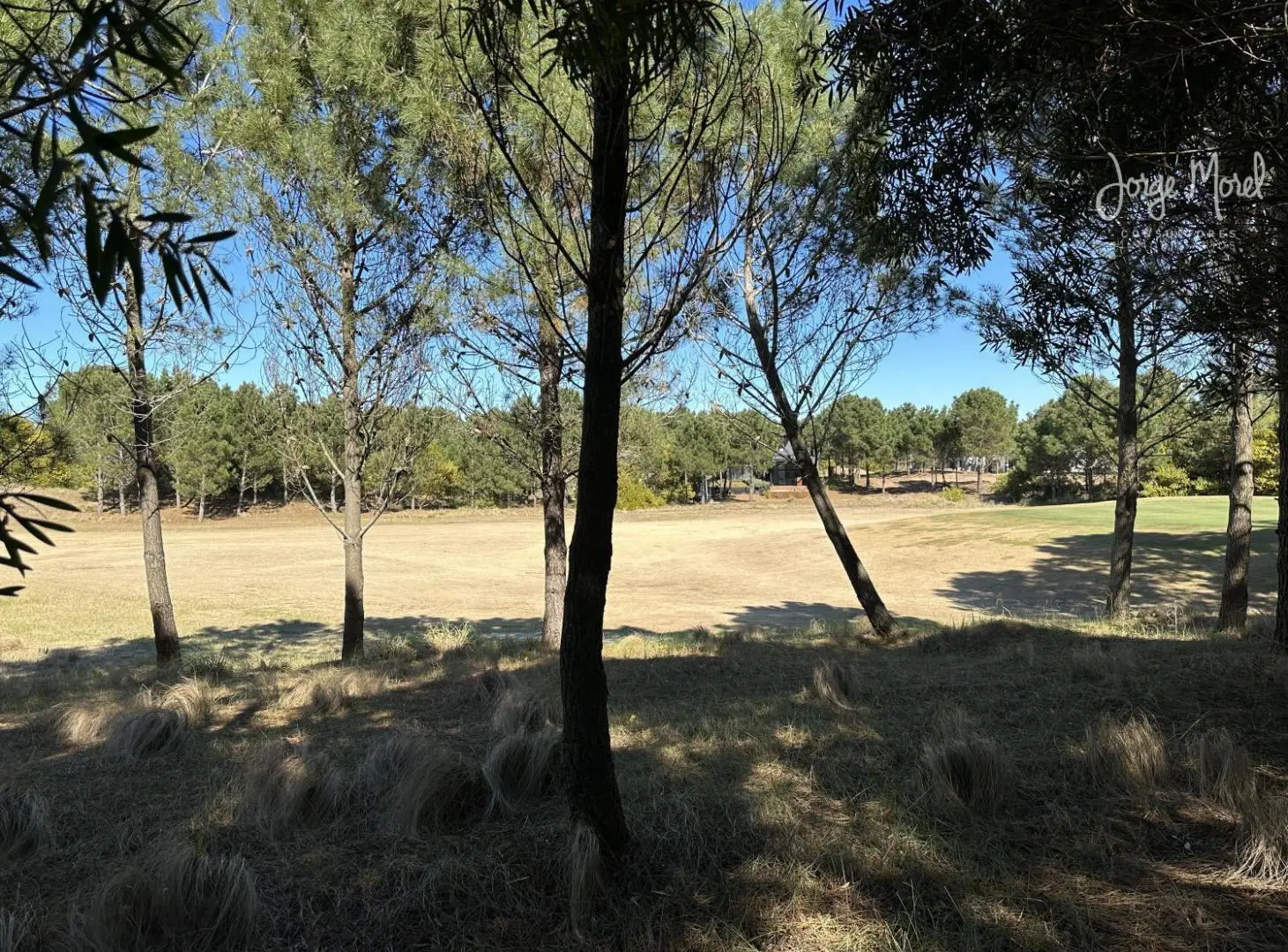 Lote Venta Costa Esmeralda - Golf 2 - Al Golf - 1019m2 #id 11194 3