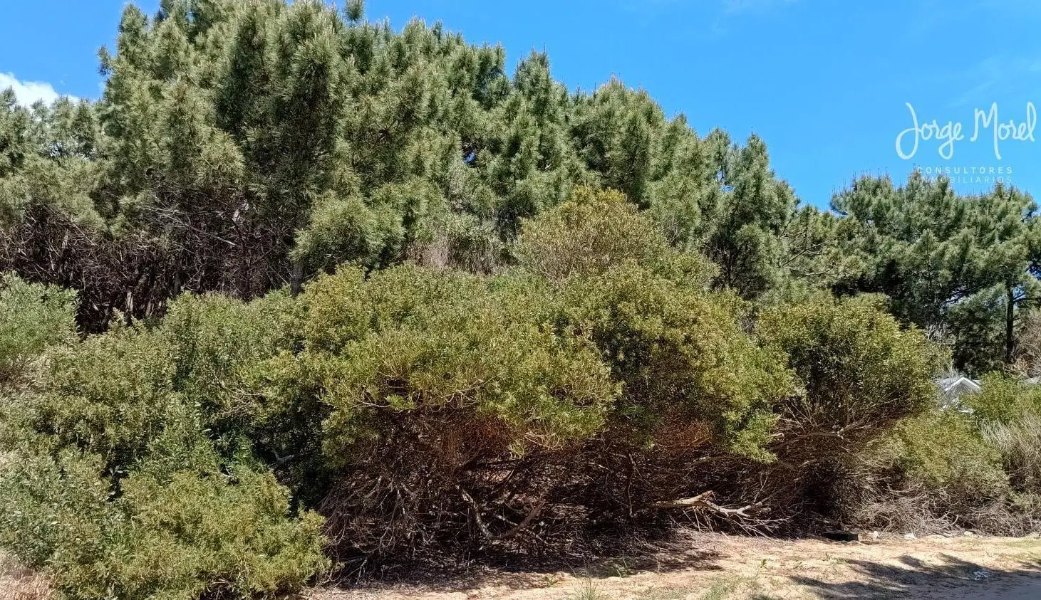 Lote inteno en Venta Barrio Costa Esmeralda - Residencial 2 - 1022m2 #id 12374 2