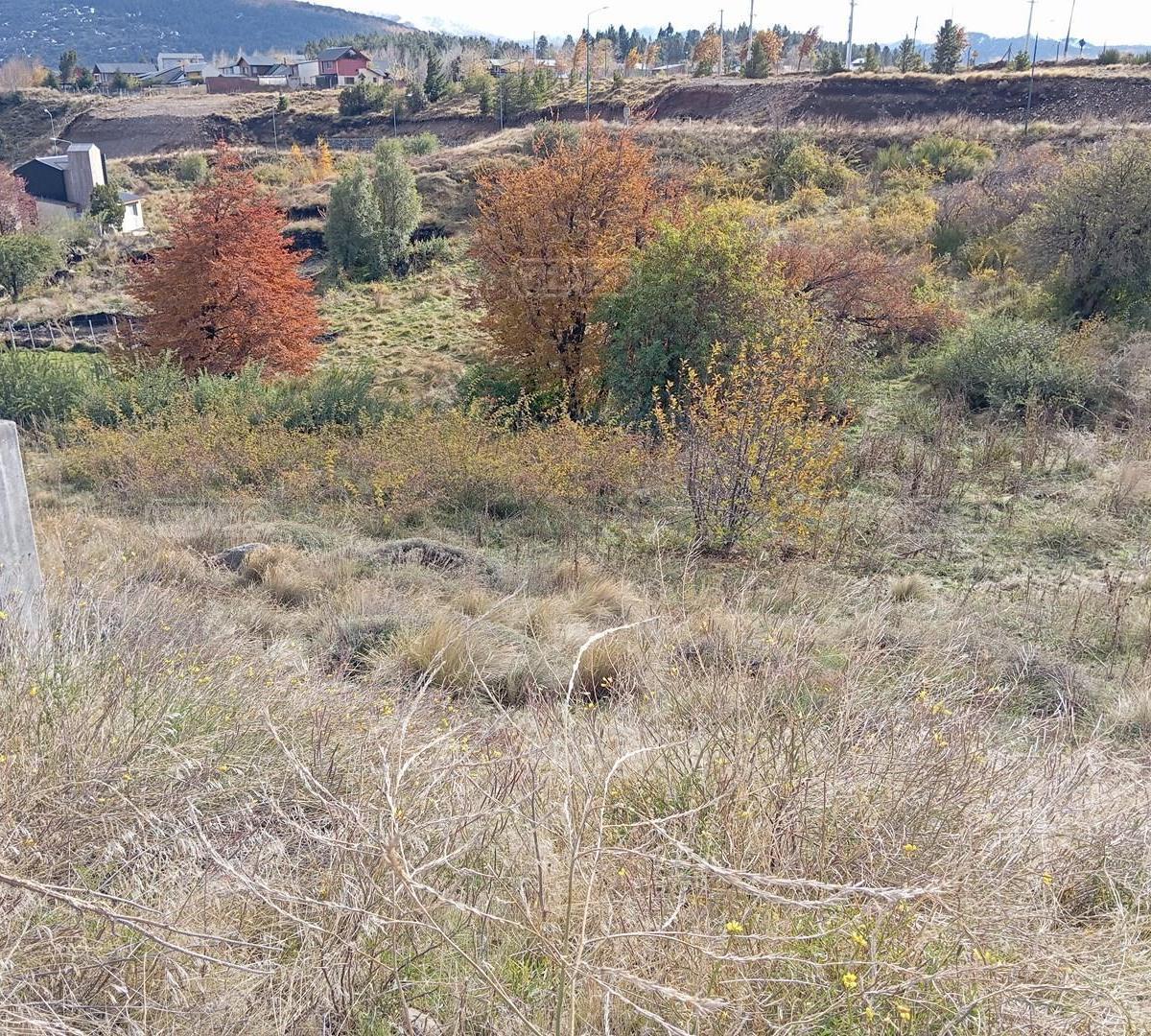Terreno Lote  en Venta en Las Nalcas, San Martin de los Andes, Patagonia