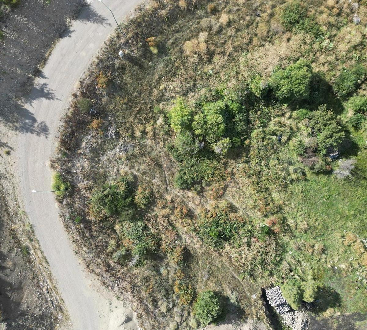 Foto de Terreno Lote en Venta ubicado en Las Nalcas, San Martin de los Andes, imagen 4