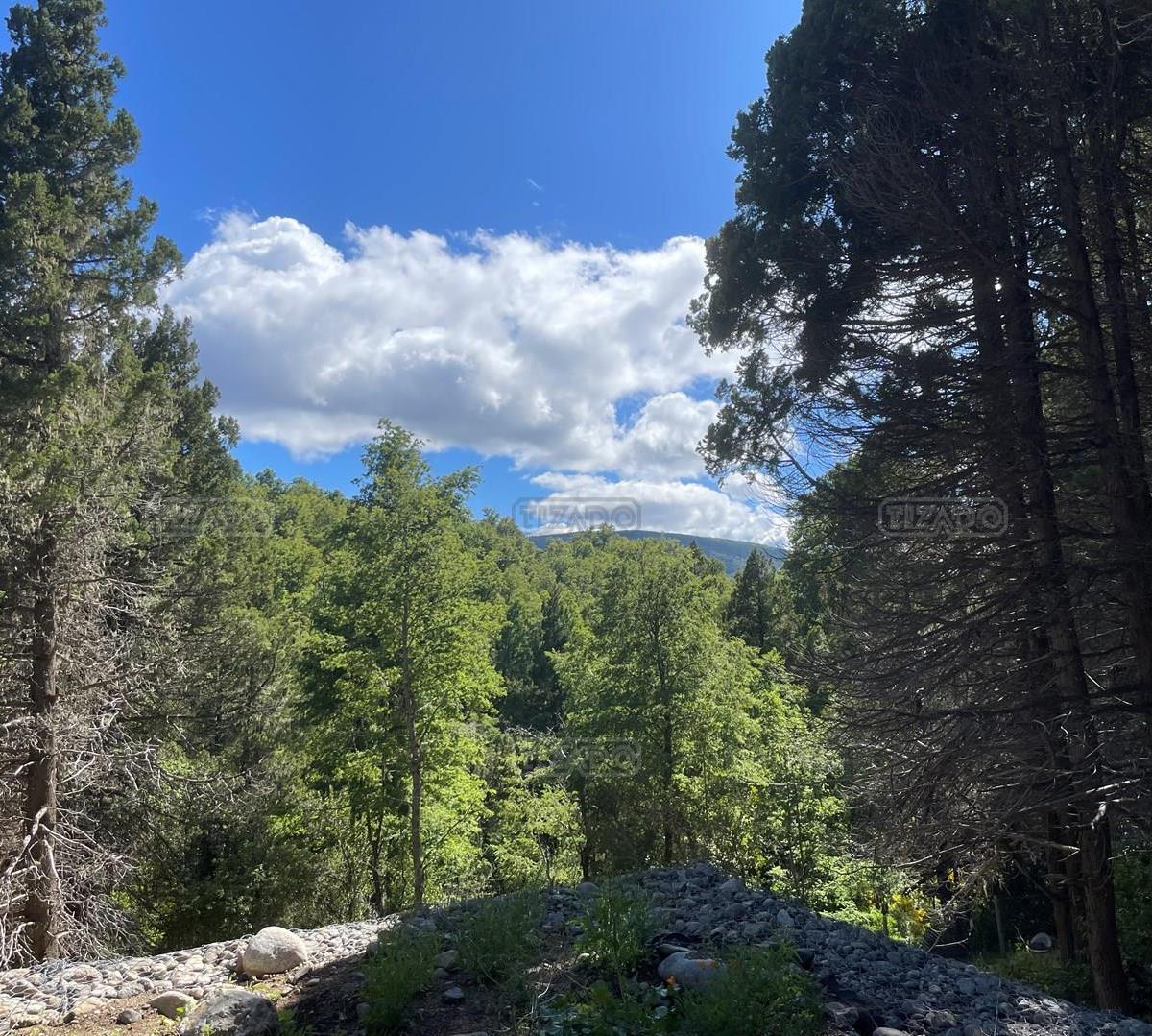 Terreno Lote en Venta ubicado en Alihuen Alto, San Martin de los Andes, Patagonia