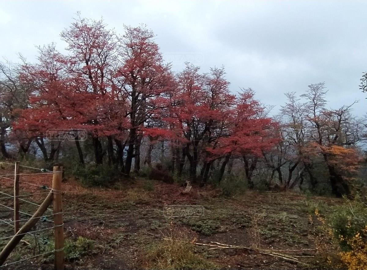 Terreno Lote en Venta en Kaleuche, San Martin de los Andes, Patagonia
