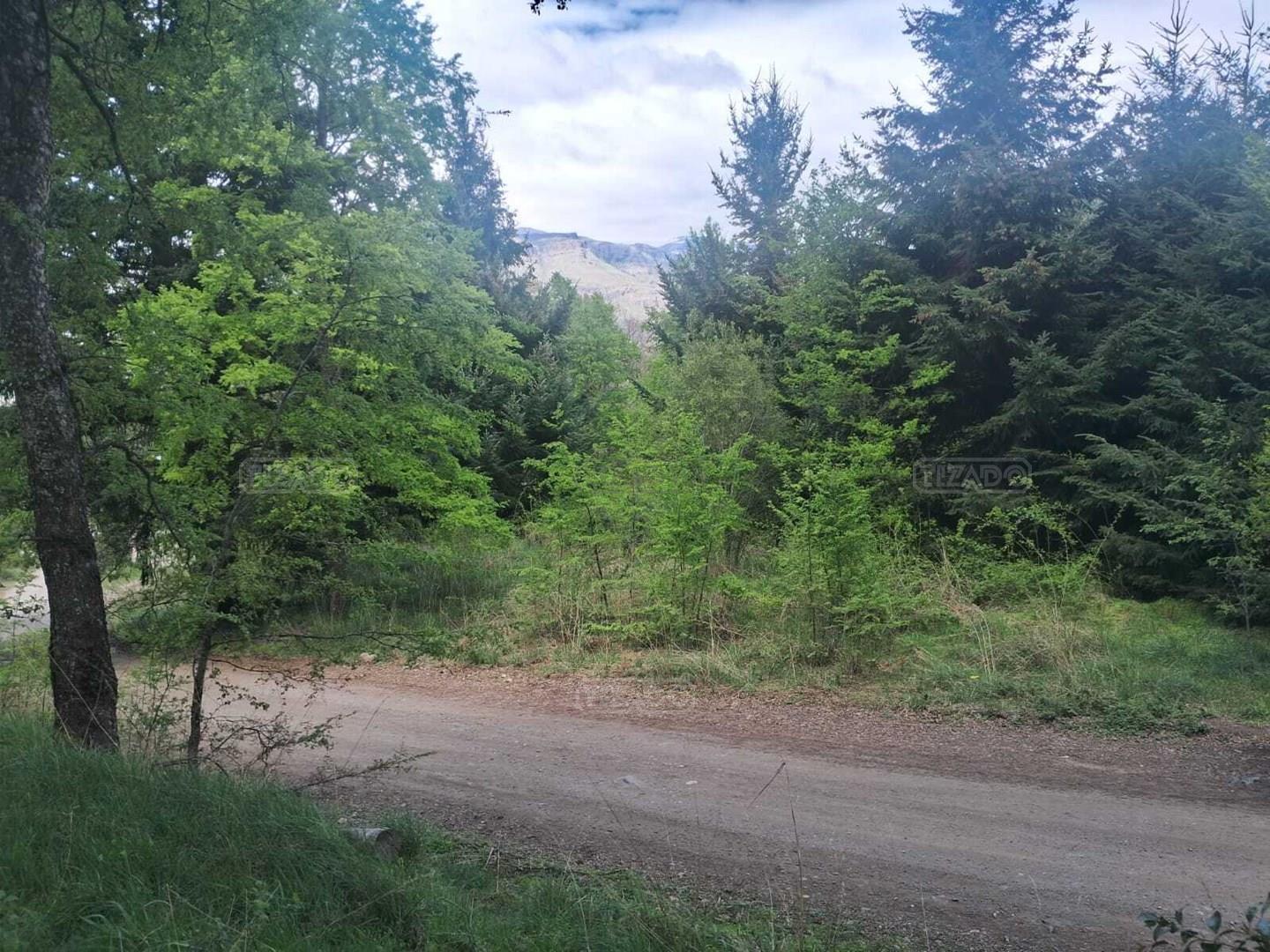 Foto de Terreno Lote en Venta en Las Vertientes, San Martin de los Andes, imagen 2