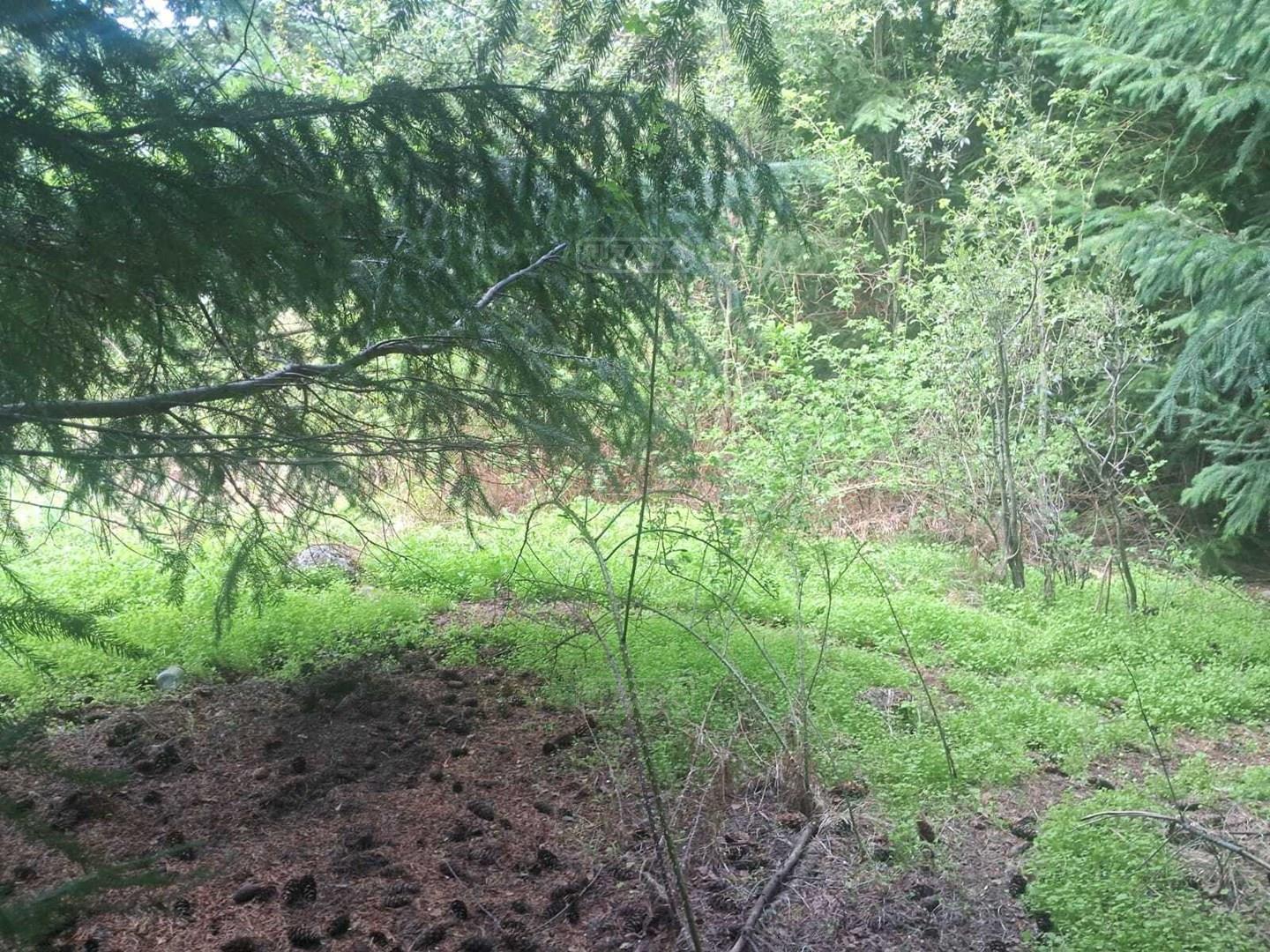 Foto de Terreno Lote en Venta en Las Vertientes, San Martin de los Andes, imagen 5