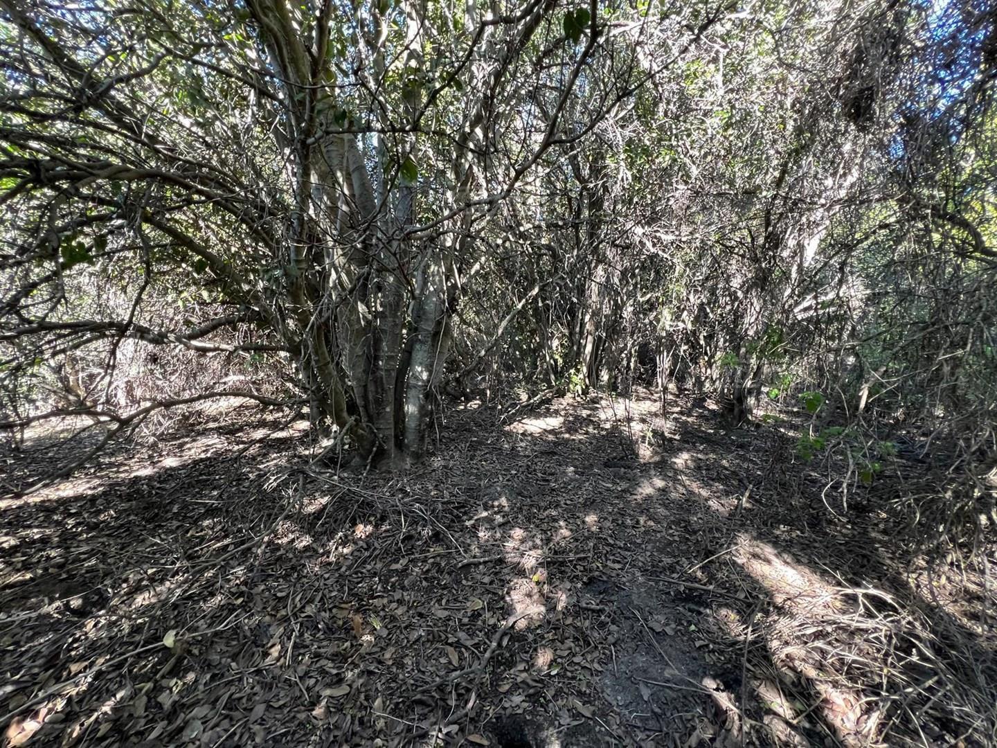 Foto de Terreno Lote en Venta en Villa Lago Meliquina, San Martin de los Andes, imagen 2
