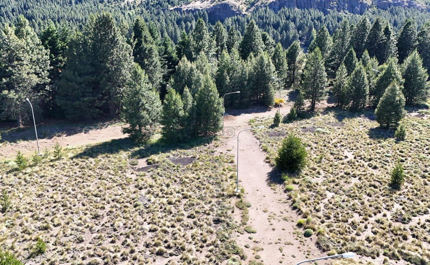 Foto de Terreno Lote en Venta en San Martin de los Andes, Patagonia, Argentina, imagen 5