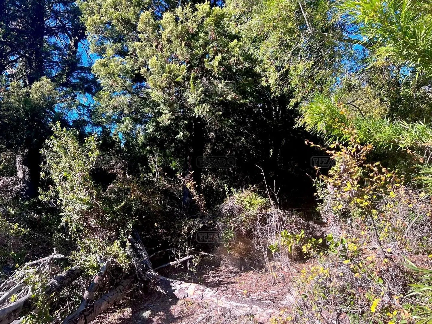 Terreno Lote en Venta en Lago Meliquina, San Martin de los Andes, Patagonia 3