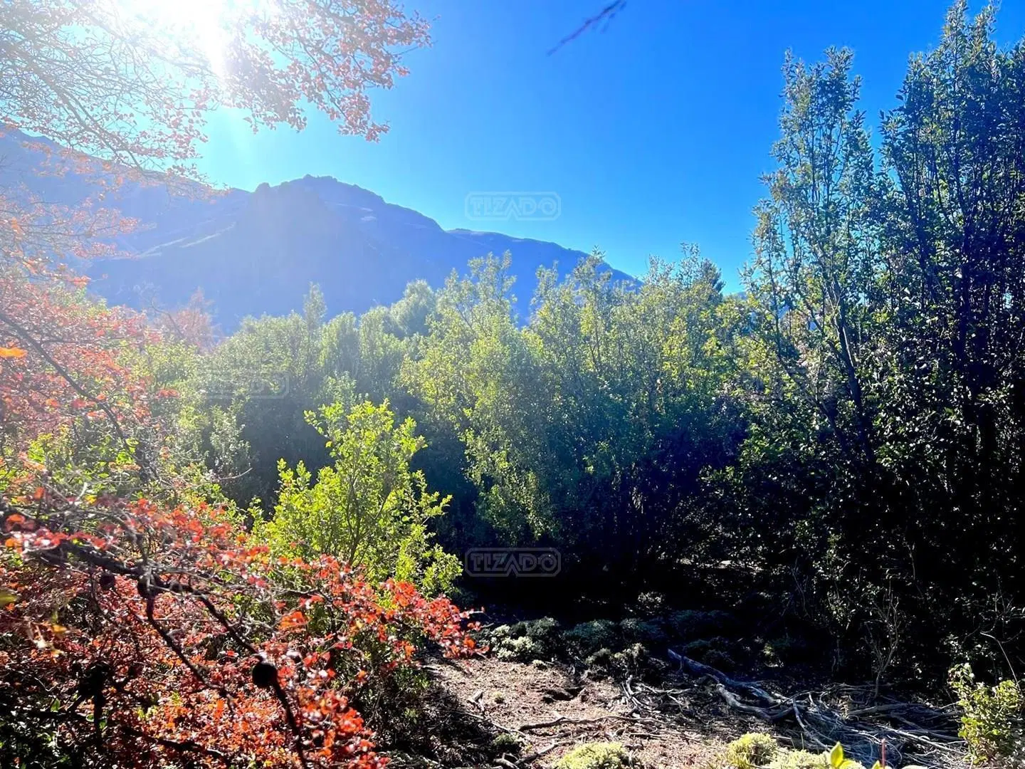 Terreno Lote en Venta en Lago Meliquina, San Martin de los Andes, Patagonia 2