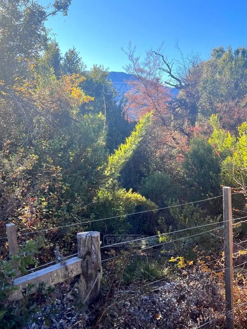 Terreno Lote en Venta en Lago Meliquina, San Martin de los Andes, Patagonia 4