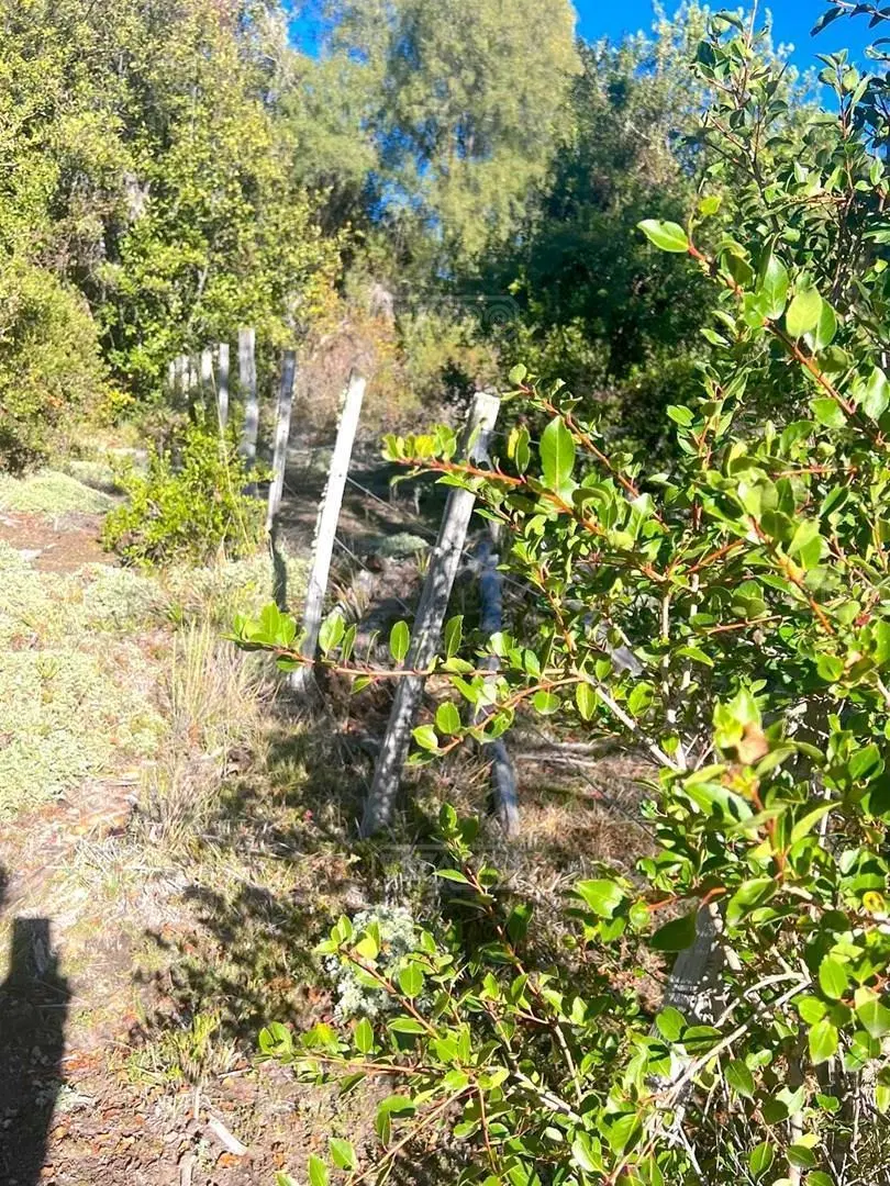 Terreno Lote en Venta en Lago Meliquina, San Martin de los Andes, Patagonia 5
